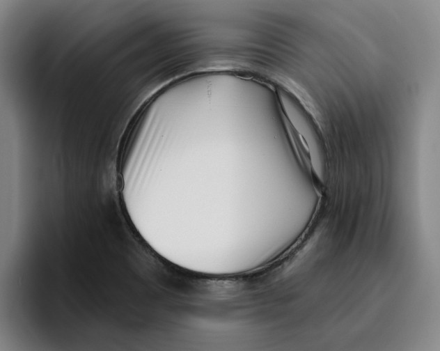 X0000096151465200802151344