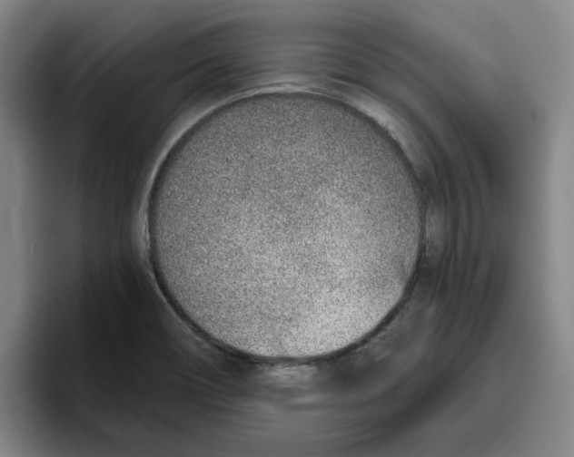 X0000096151466200802151344