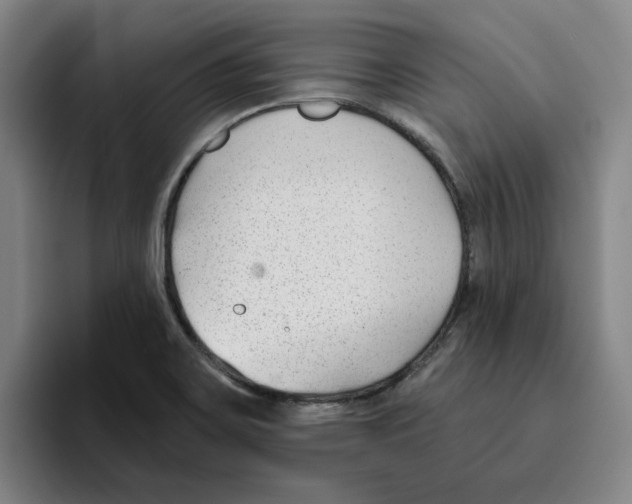 X0000096151467200802151344