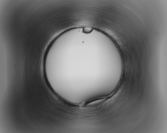 X0000096151469200802151344