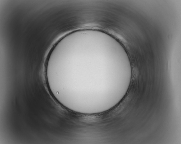 X0000096151470200802151344