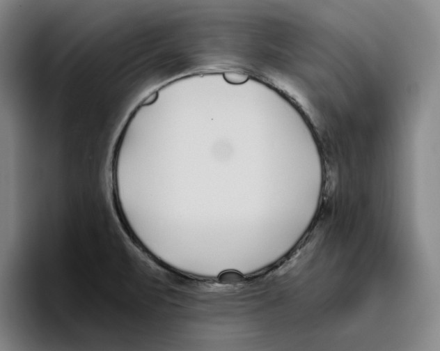 X0000096151471200802151344