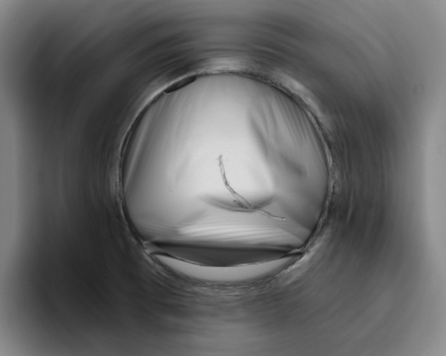 X0000096151473200802151344