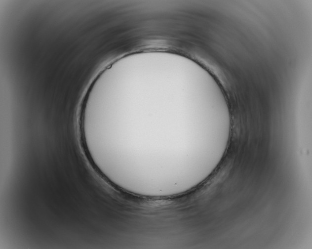 X0000096151475200802151344