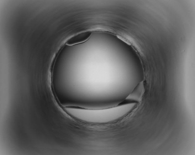 X0000096151476200802151344