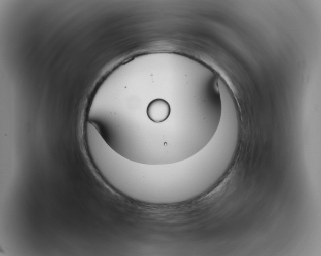 X0000096151477200802151344