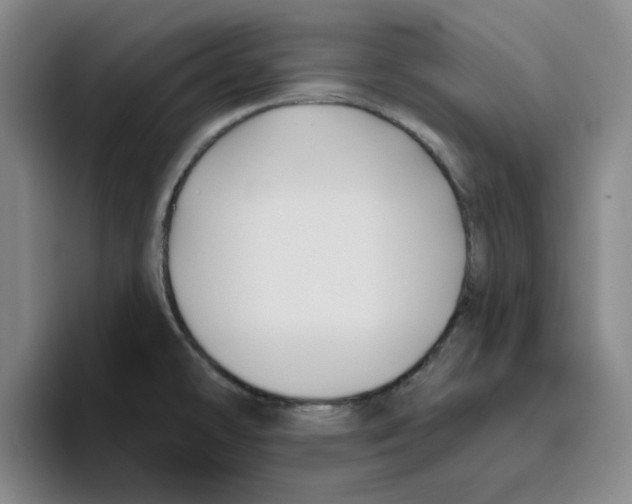 X0000096151478200802151344