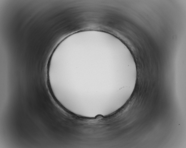 X0000096151479200802151344