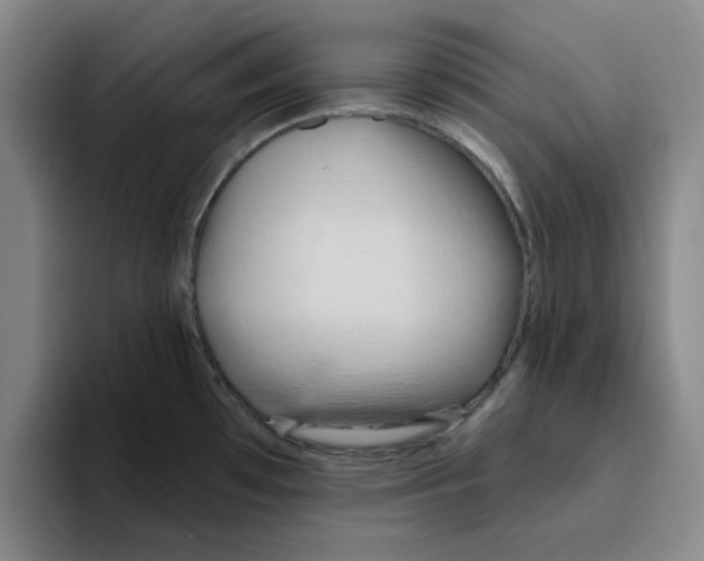 X0000096151481200802151344