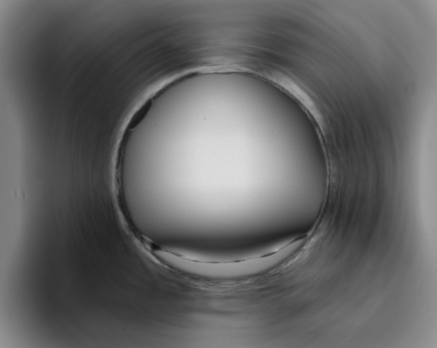 X0000096151485200802151344