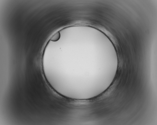 X0000096151486200802151344