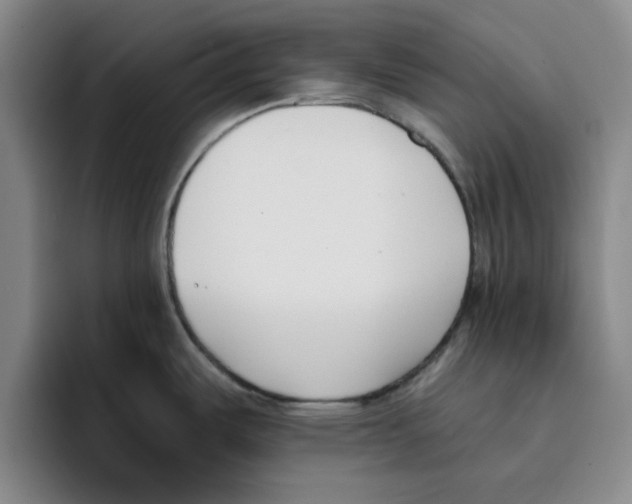 X0000096151487200802151344