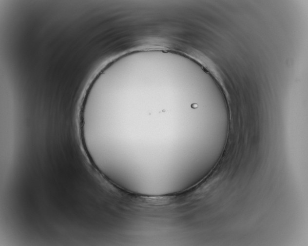 X0000096151488200802151344