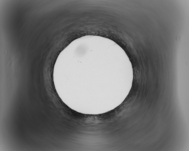 X0000096151489200802151343