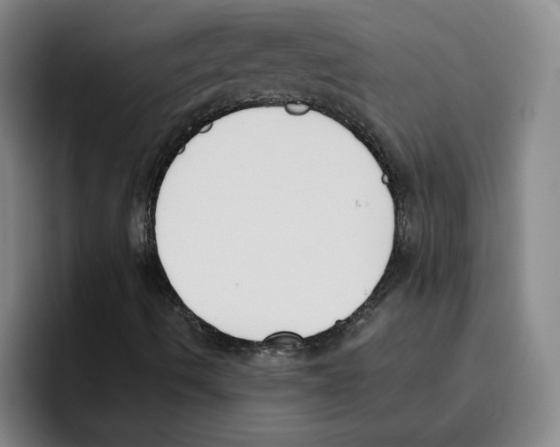 X0000096151490200802151344