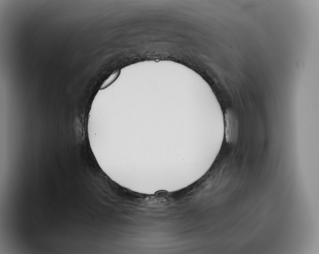 X0000096151491200802151344