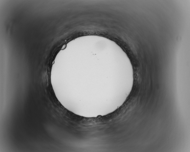 X0000096151493200802151344