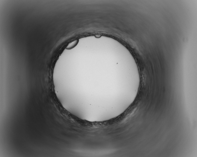 X0000096151494200802151344