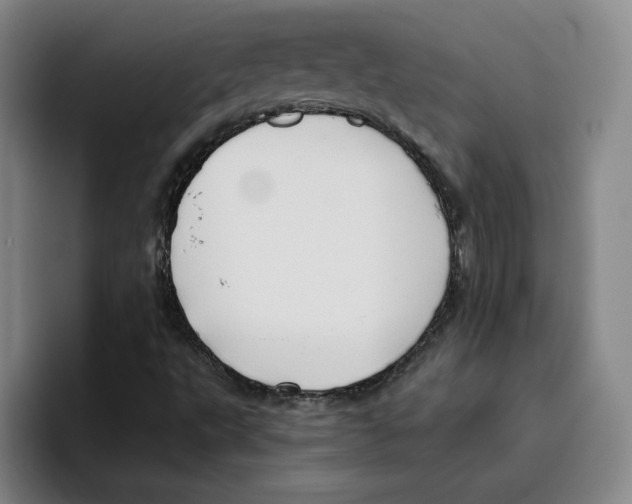 X0000096151495200802151344