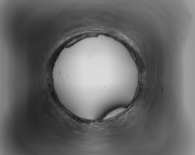 X0000096151496200802151344