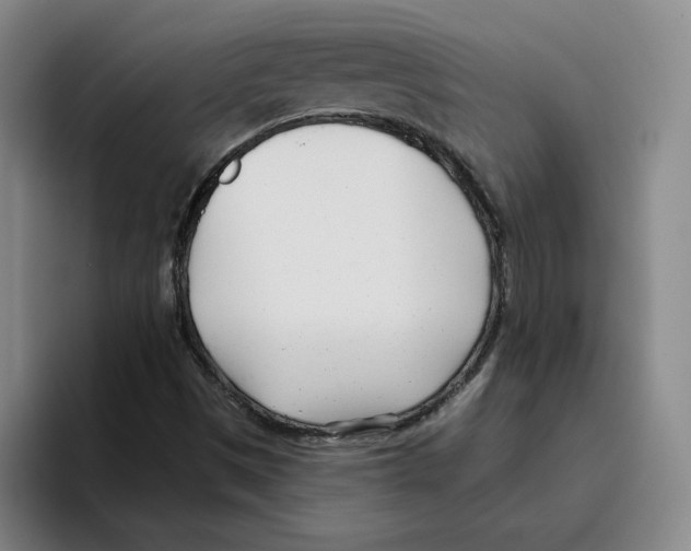 X0000096151497200802151344