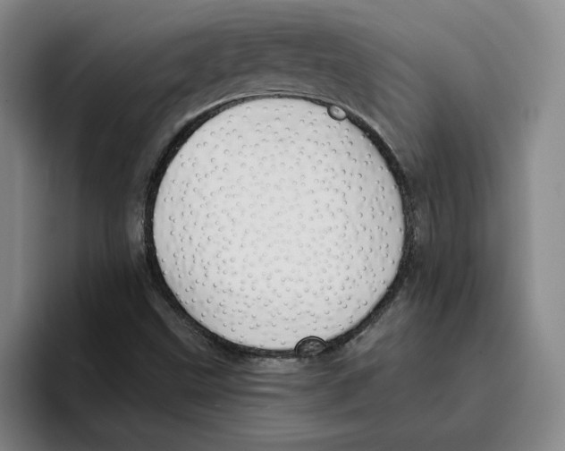 X0000096151499200802151344