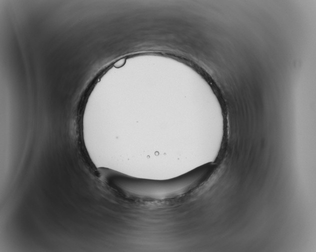 X0000096151501200802151344