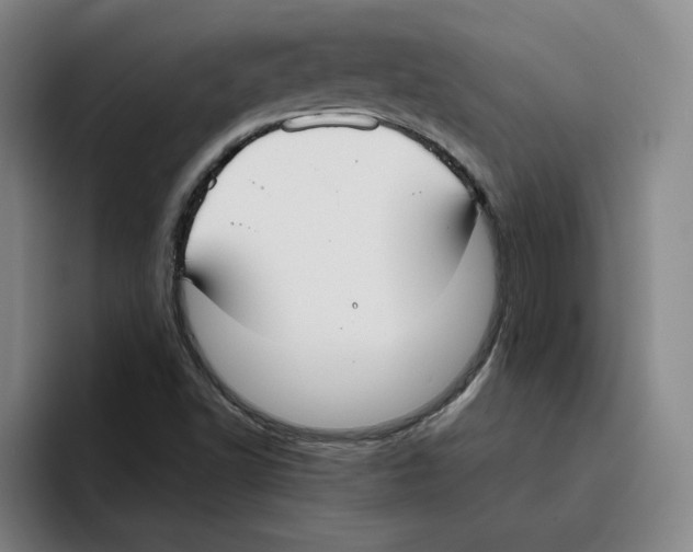 X0000096151502200802151344