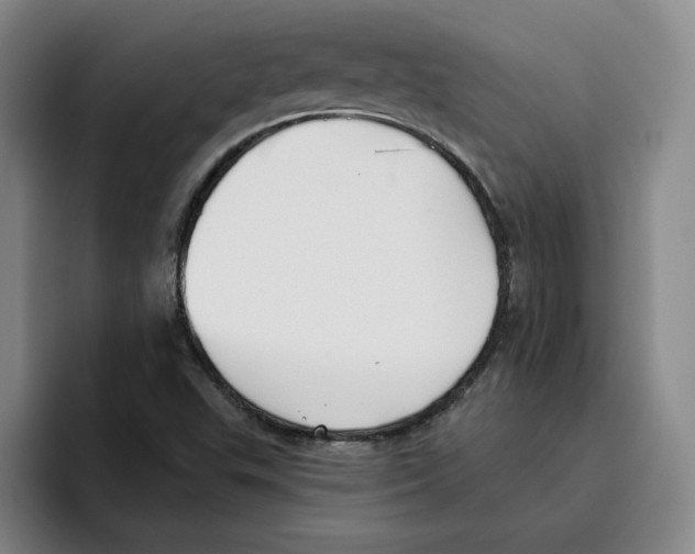 X0000096151503200802151344