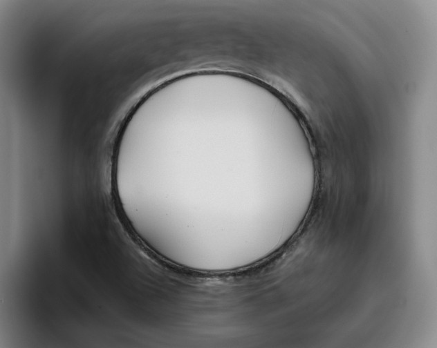 X0000096151504200802151344