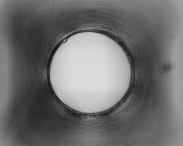 X0000096151505200802151344