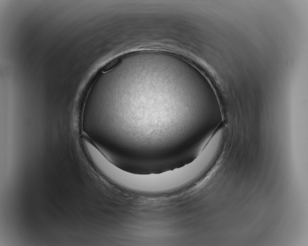 X0000096151506200802151344