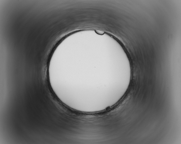 X0000096151507200802151344