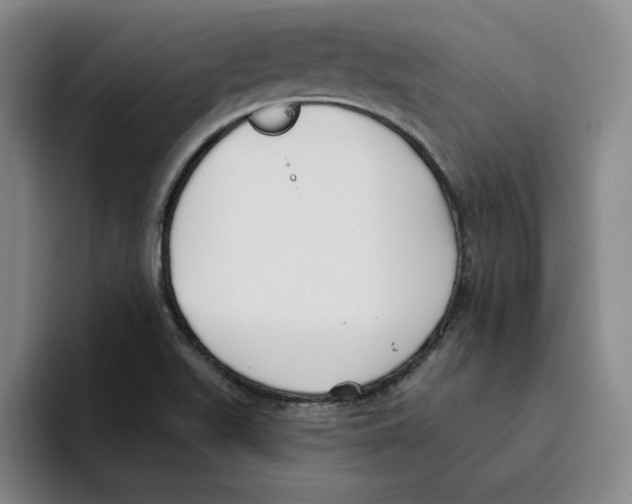 X0000096151511200802151344