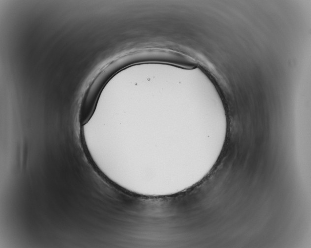 X0000096151512200802151344