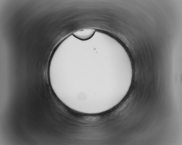 X0000096151513200802151344