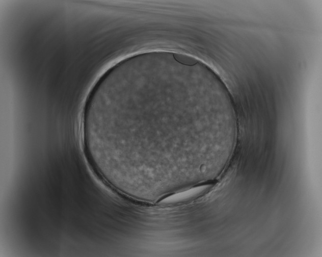 X0000096151515200802151344