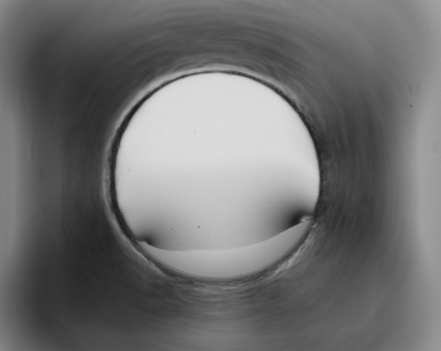 X0000096151518200802151344