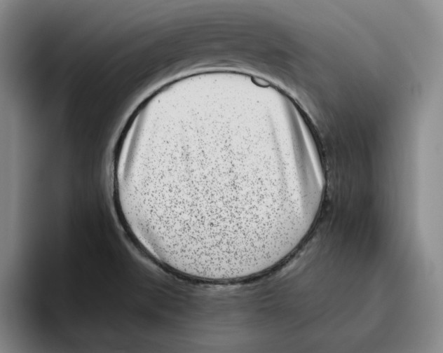 X0000096151519200802151344