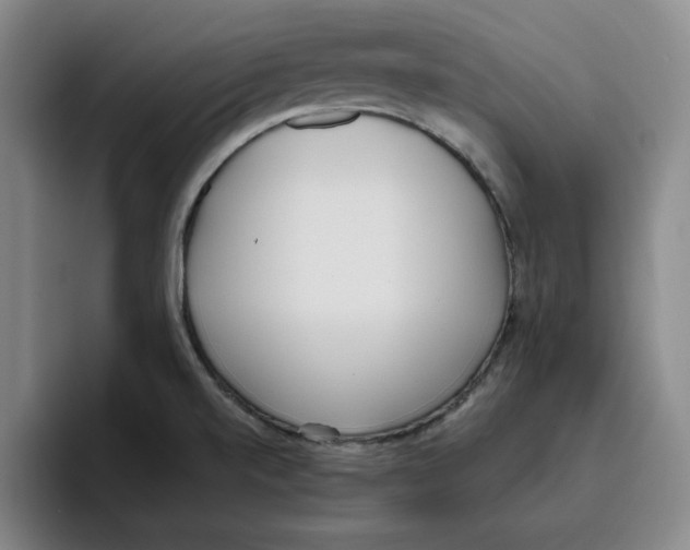 X0000096151520200802151344