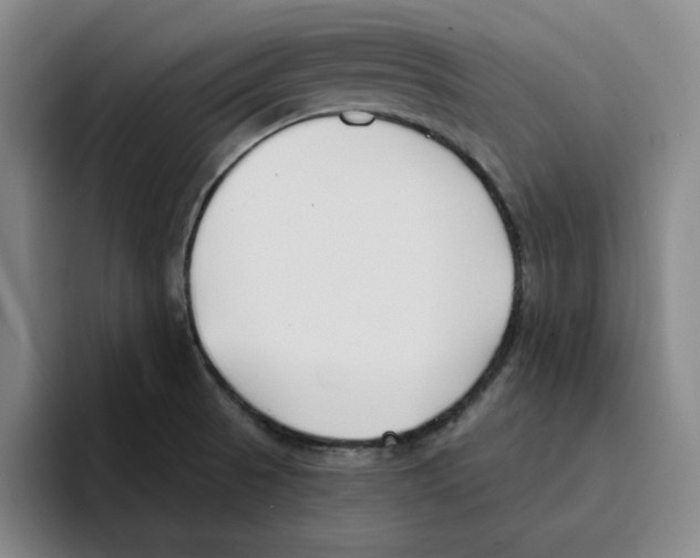 X0000096151521200802151344