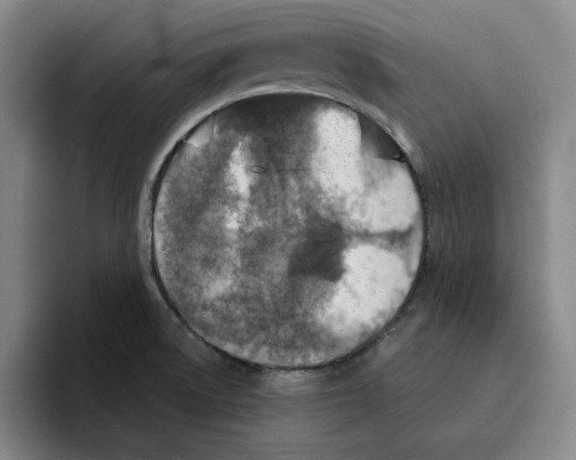 X0000096151522200802151344