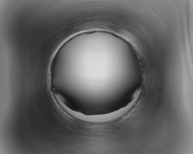 X0000096151524200802151344