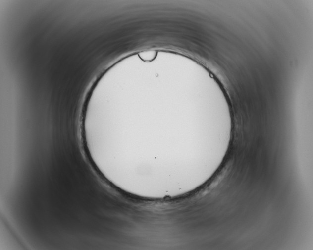 X0000096151525200802151344