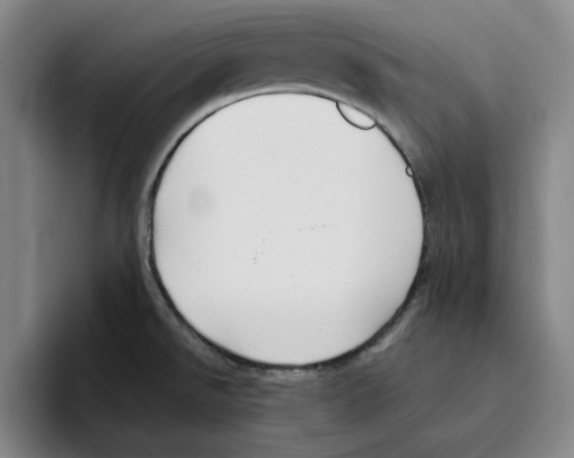 X0000096151526200802151344