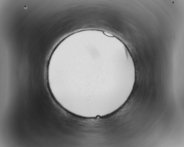 X0000096151527200802151344