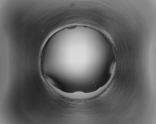 X0000096151530200802151344