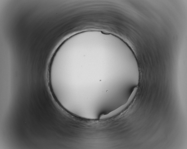 X0000096151531200802151344