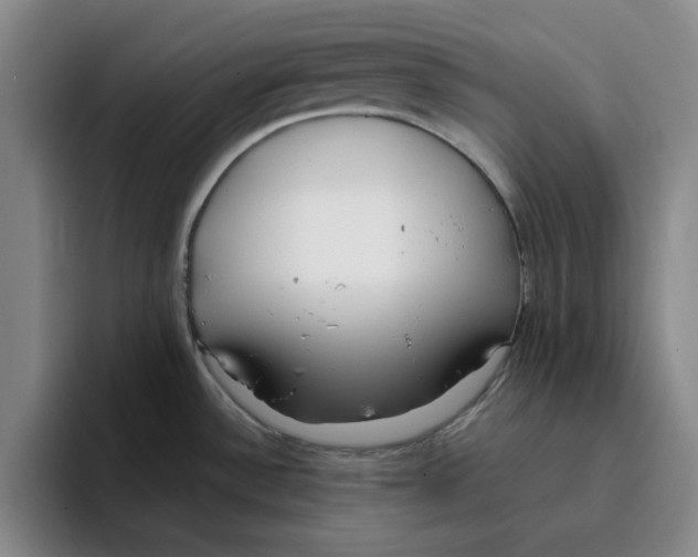 X0000096151532200802151344