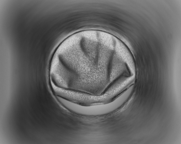 X0000096151533200802151344